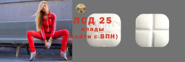 apvp Верея