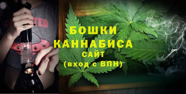 apvp Верея